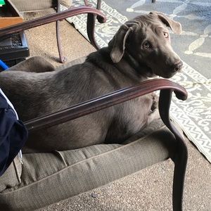 Meet your Posher, Glenn